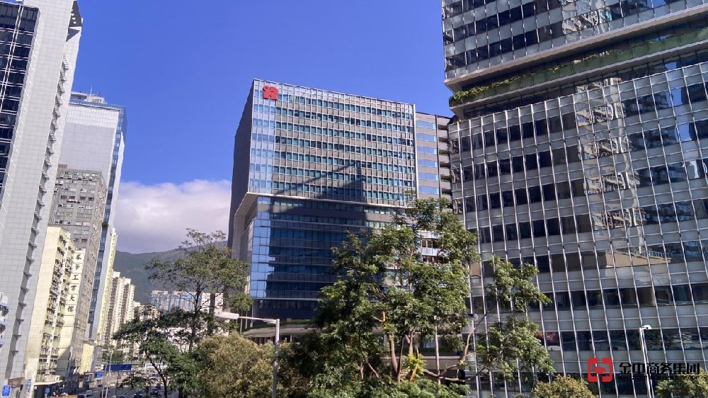 香港公司審計中的審計意見代表什么？